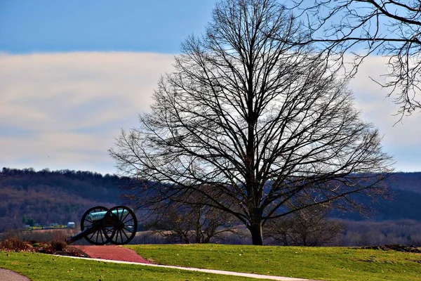 Antietam National Battlefield Cannon Tree — Foto Stock