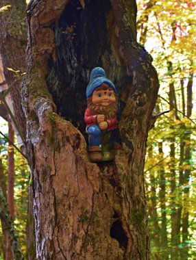 Catskill Dağ Evi Ağaç, New York 'ta Cüce Sitesi