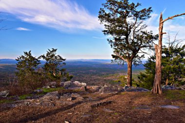 Cheaha Eyalet Parkı, Cheaha Patikası Hernadez Tepesi ve McDill Noktası, Delta, Alabama 