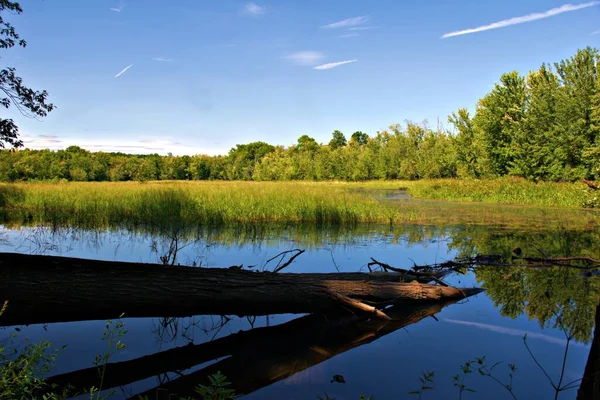 Hulberts Pond Mass Audubon Arcadia Wildlife Sanctuary Easthampton Massachusetts — Foto Stock