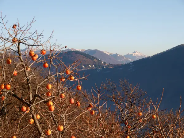 Swiss - Lugano, Monte Bré — Stock Photo, Image