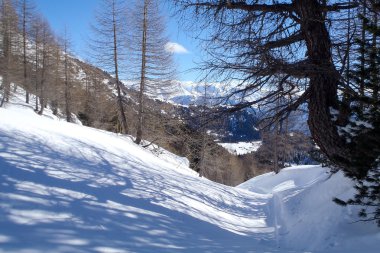 alpe gana, pian segno 2013 casaccia, casaccia
