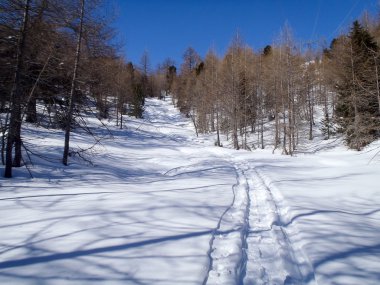 alpe gana, pian segno 2013 casaccia, casaccia