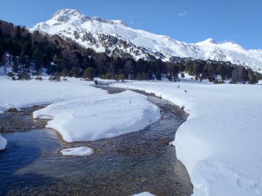 alpe gana, pian segno 2013 casaccia, casaccia