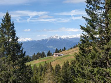 myslet a učit se myšlenka