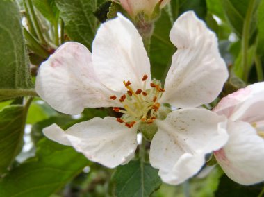 myslet a učit se myšlenka