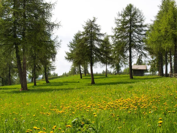 2013 Avelengo Bz — Zdjęcie stockowe