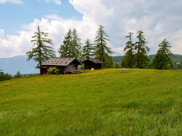 Myslet a učit se myšlenka — Stok fotoğraf