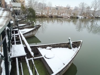 the marshes of the river oglio in winter  clipart