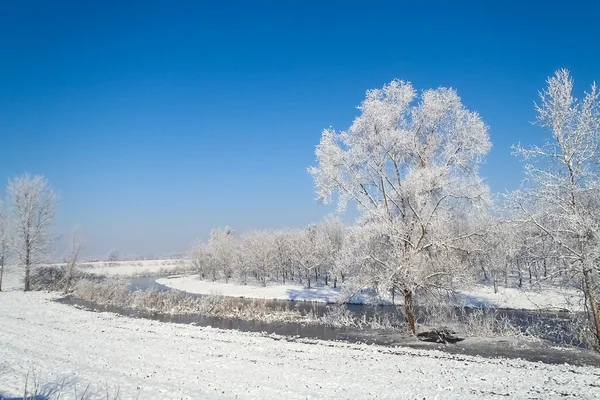 De moerassen van de oglio rivier in de winter — Stockfoto