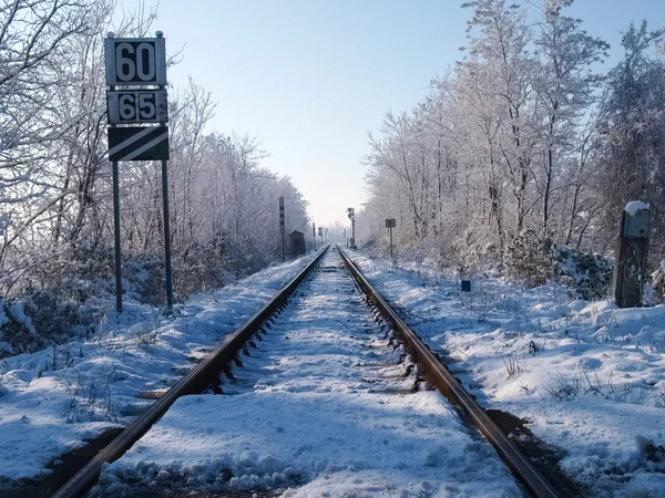 雪覆盖铁路桥梁 — 图库照片