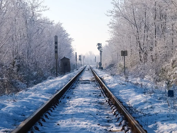 雪覆われた鉄道橋 — ストック写真