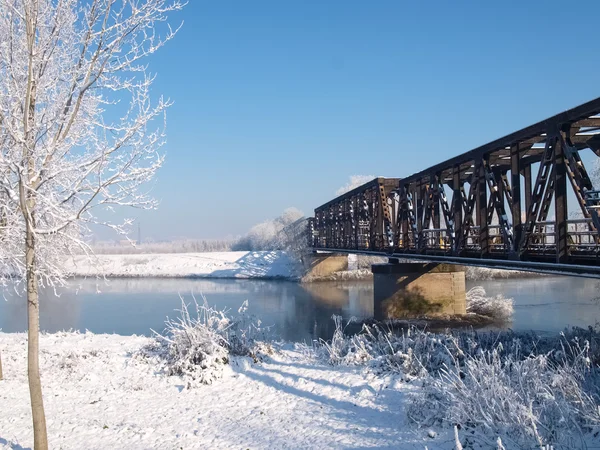 Matin, ensoleillé et froid dans les plaines — Photo