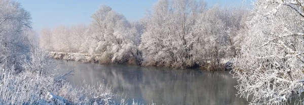 Kışın nehir oglio bataklıklar — Stok fotoğraf