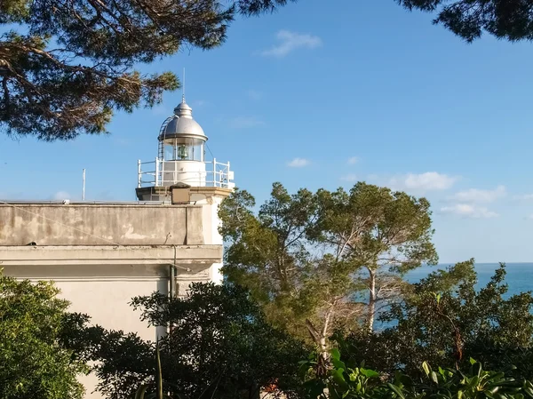 Taly, portofino. Limandaki tipik ev resimleri — Stok fotoğraf