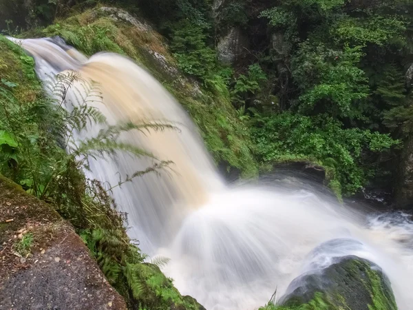 Floresta Negra, Alemanha. As cachoeiras de Triberg — Fotografia de Stock