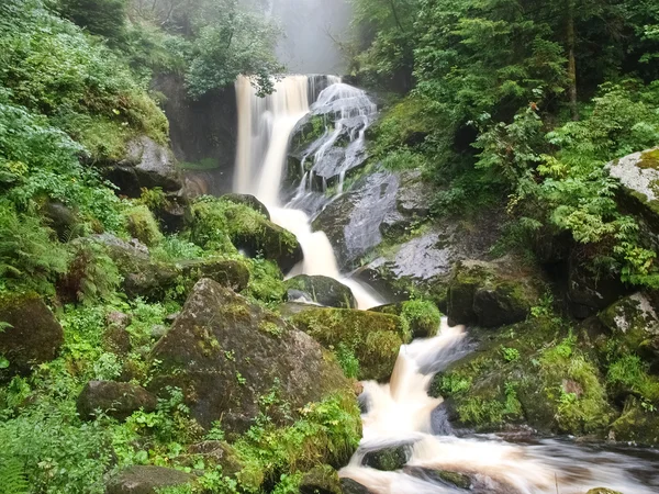 Foresta Nera, Germania. Le cascate del Triberg Immagini Stock Royalty Free