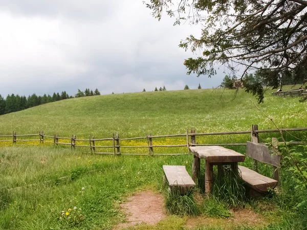 Marcher à Hafling Avelengo dans la nature — Photo