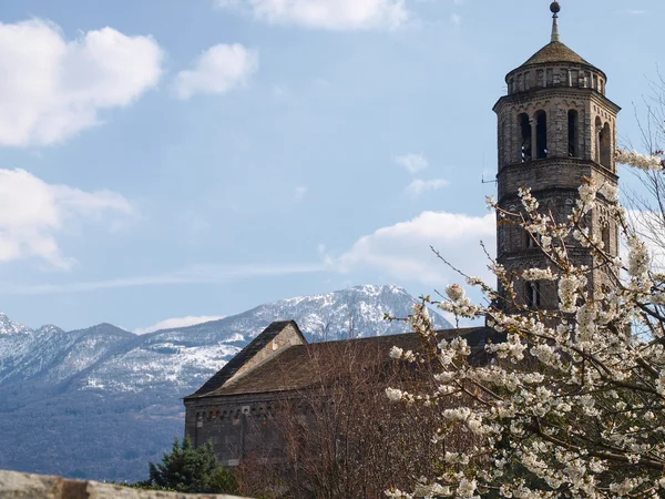 Gravedona, Santa Maria del Tiglio — Stockfoto