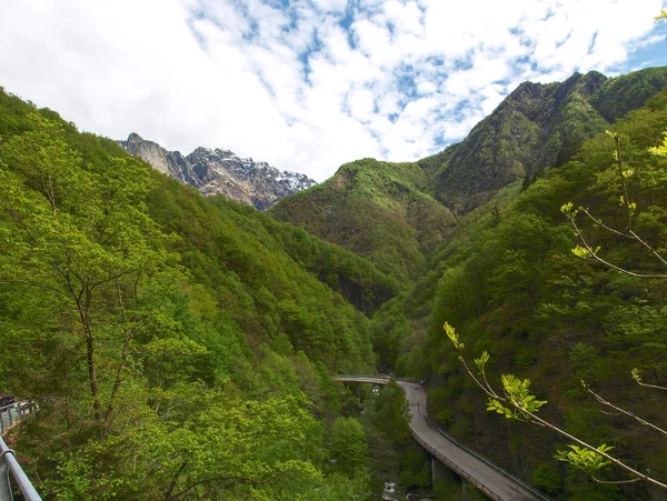 Vista sulle montagne lungo il percorso — Foto Stock