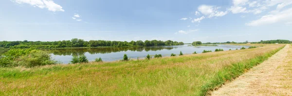 Il fiume Loira — Foto Stock