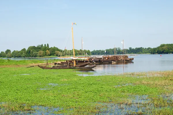 Il fiume Loira — Foto Stock