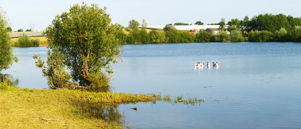 Fransk landskap til landsbyen La Pommeraye – stockfoto