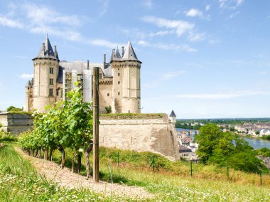 Chateau de Saumur