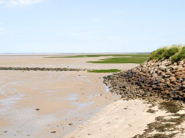 Les oceanic ülke sortieres ford