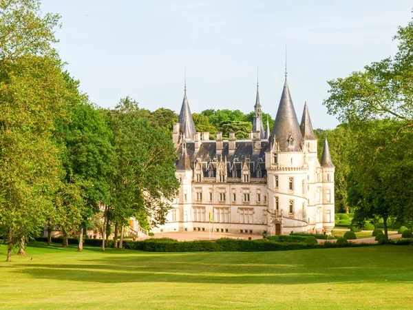 A Chateau du nozet - pouilly-sur-loire — Stock Fotó