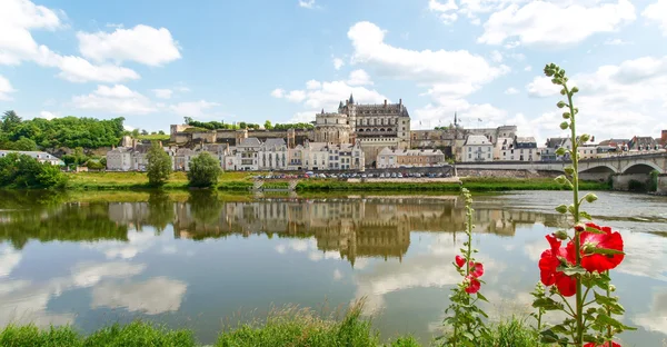 Ville d'amboise et le chateau Amboise — Stockfoto