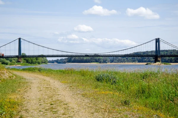 The river Loire — Stock Photo, Image