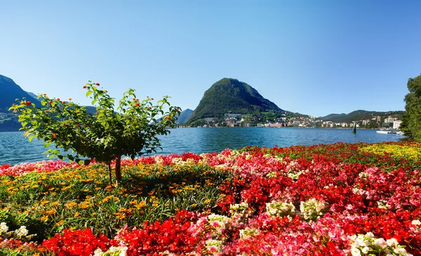 Monte San Salvatore à partir du parc — Photo