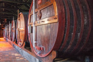 Porto 'da dolgulu fıçılar.