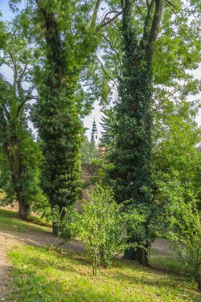 Croácia. Igreja em Varaédin — Fotografia de Stock