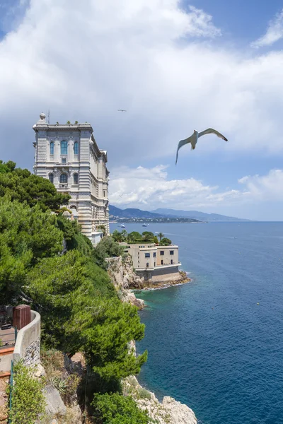 Monaco. Oceanographic Museum — Stock Photo, Image