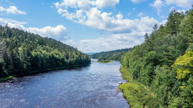 Drone View of Green Mountain Landscape, Summer Season in Canada, Water Stream flowing between Forest. 