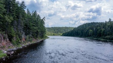 Drone View of Green Mountain Landscape, Summer Season in Canada, Water Stream flowing between Forest. 