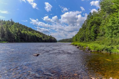 Drone View of Green Mountain Landscape, Summer Season in Canada, Water Stream flowing between Forest. 