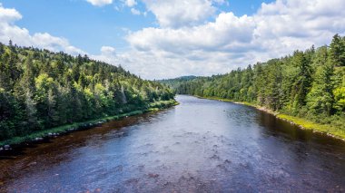 Drone View of Green Mountain Landscape, Summer Season in Canada, Water Stream flowing between Forest. 