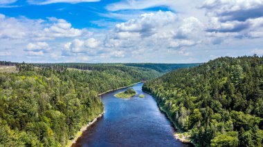 Drone View of Green Mountain Landscape, Summer Season in Canada, Water Stream flowing between Forest. 