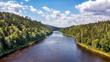 Drone View of Green Mountain Landscape, Summer Season in Canada, Water Stream flowing between Forest. 