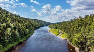 Drone View of Green Mountain Landscape, Summer Season in Canada, Water Stream flowing between Forest. 