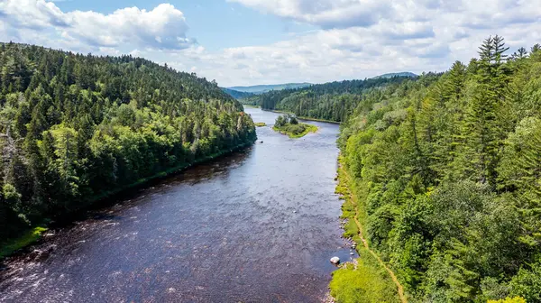 Drone View of Green Mountain Landscape, Summer Season in Canada, Water Stream flowing between Forest. 