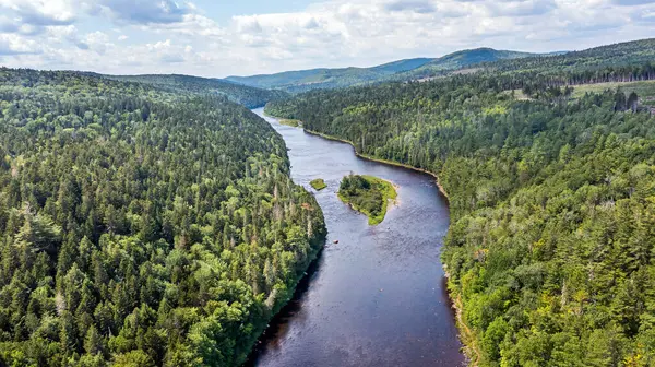 Drone View of Green Mountain Landscape, Summer Season in Canada, Water Stream flowing between Forest. 