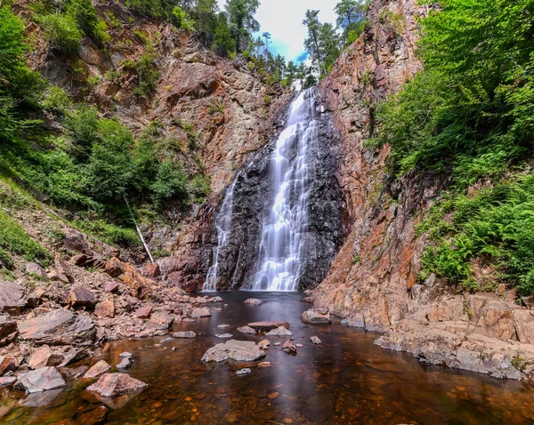 Waterfall between the Rocky Mountains and Jungle in Canada