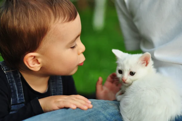 Sladký chlapec s bílou kočkou — Stock fotografie