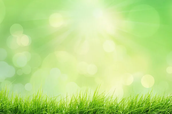 Spring or summer nature landscape with grass and bokeh lights — Stock Photo, Image