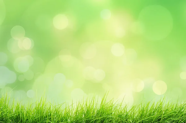 Lente of zomer natuur landschap met gras en bokeh lichten — Stockfoto