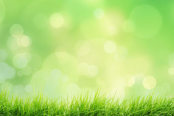 Spring or summer nature landscape with grass and bokeh lights